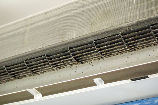 Professional Airduct Cleaning in Englewood, CO